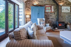 Televisión 32 pulgadas con canales de televisión por cable, chimenea