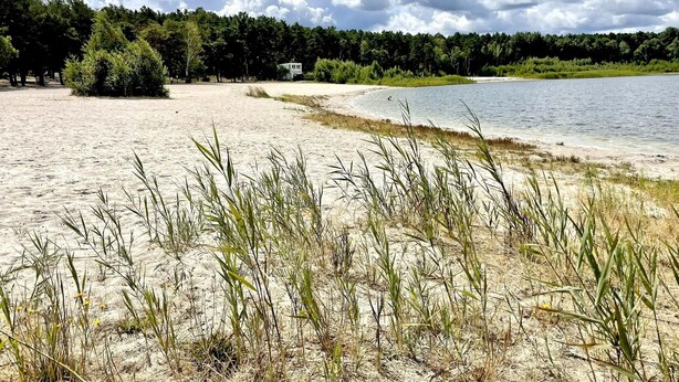 A sandy beach with sparse vegetation, a body of water, and a forested area in the background.