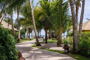 Áreas de la propiedad