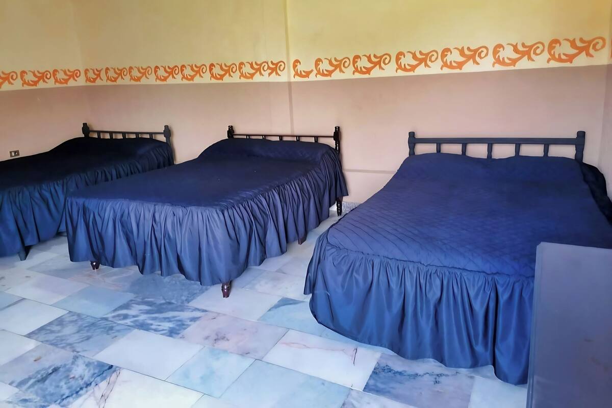 Premium bedding, desk, free WiFi, bed sheets
