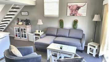 Una Smart TV, una chimenea, libros