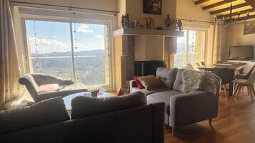 TV, fireplace, DVD player, books