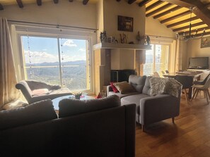 Televisión, chimenea, reproductor de DVD y libros 