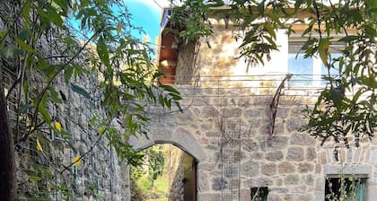 Grande Maison Cevenole en Plein Parc Naturel Ardechois