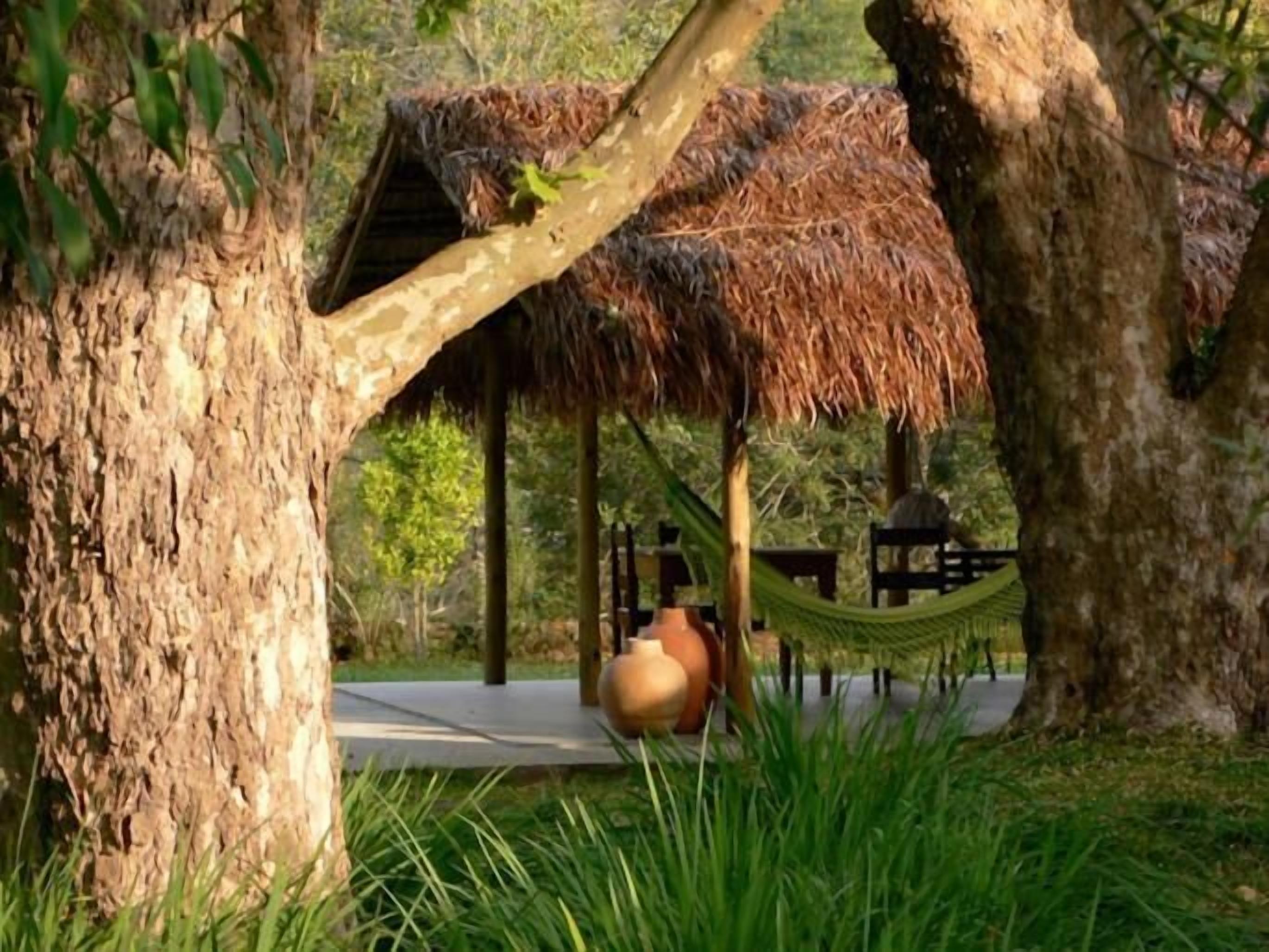 A thatched-roof pavilion with a hammock and large vases, surrounded by trees and grass.