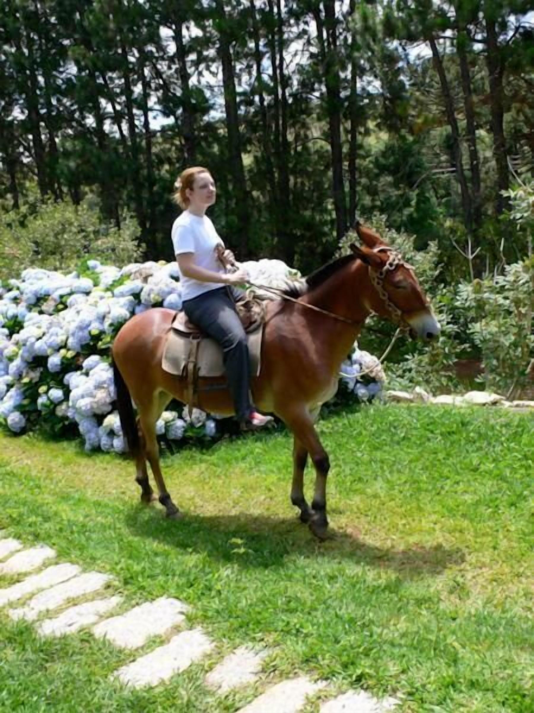 A person riding a horse in a grassy area with trees and a pile of white flowers in the background.