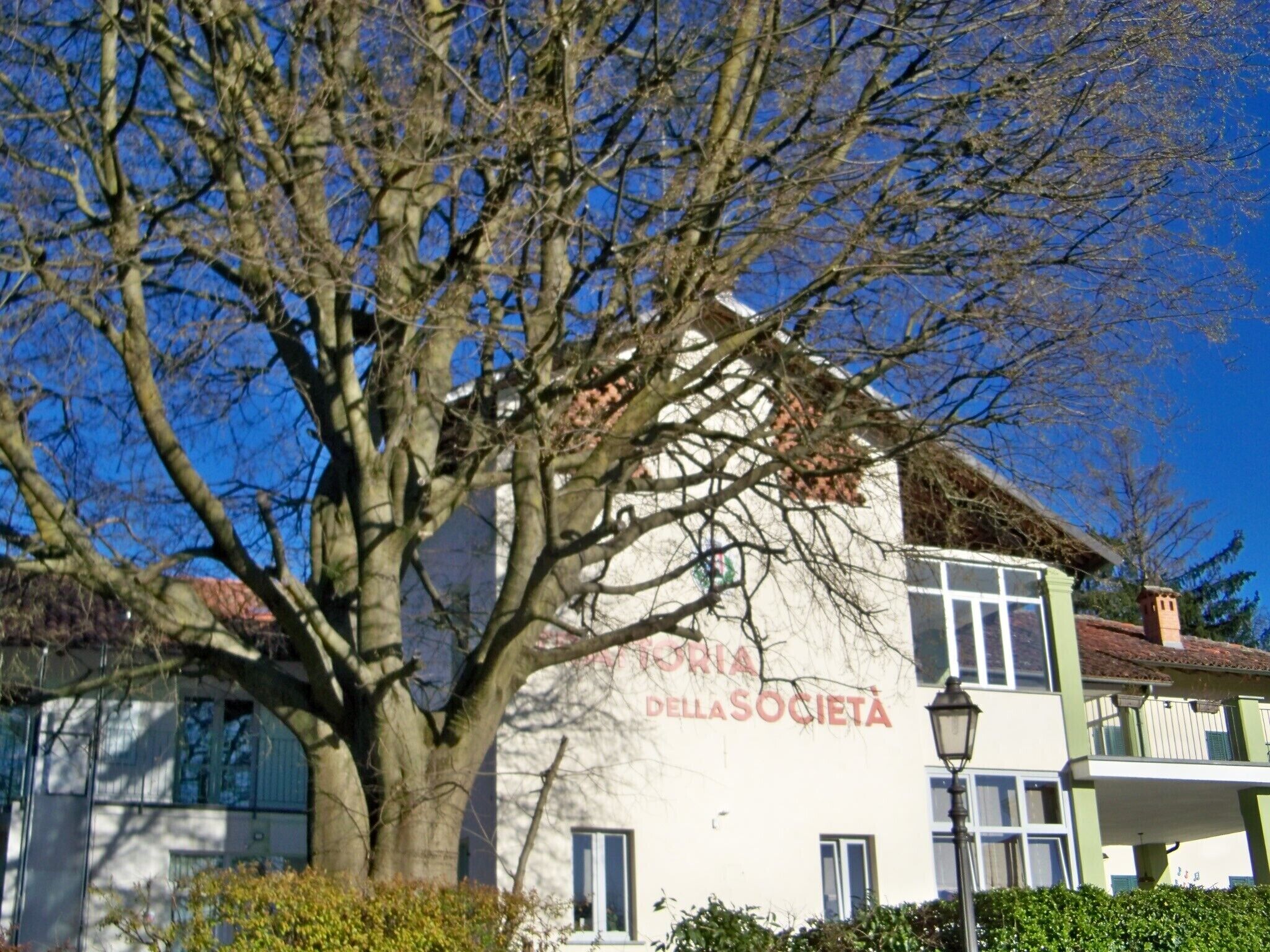 Eksteriør