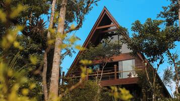 A modern house with a triangular roof, surrounded by dense greenery.