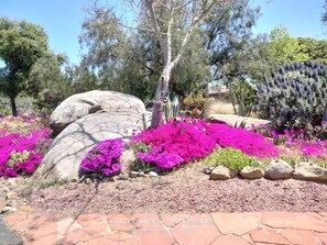 Property grounds - Casa Di Fiori (Escondido)