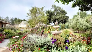 Un jardin avec une fontaine, différentes plantes et un bâtiment en arrière-plan.