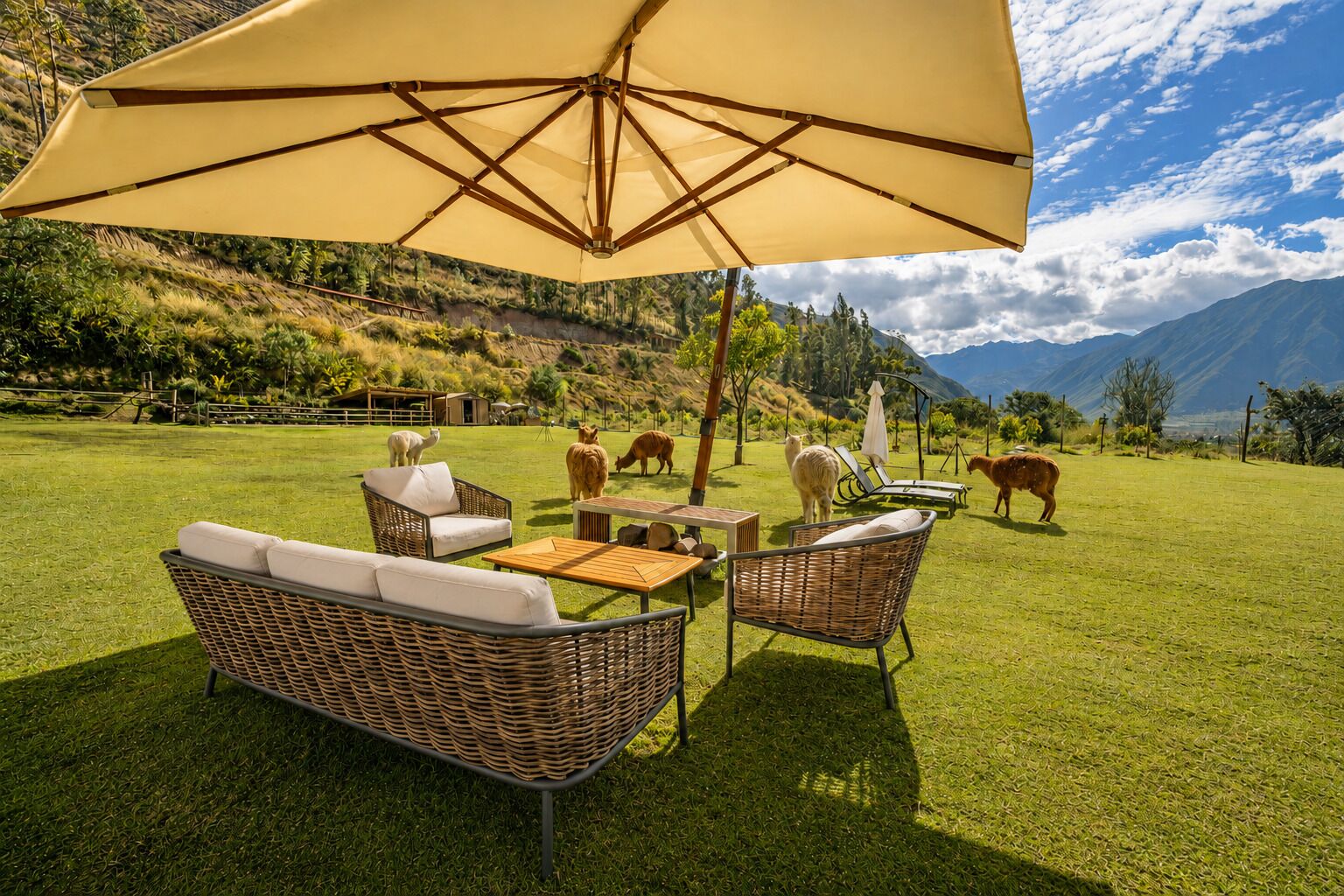 A grassy outdoor area with wicker furniture and a large umbrella, surrounded by mountains and livestock.