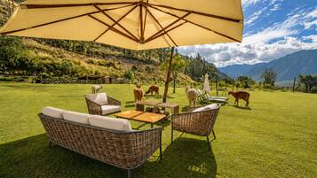 A grassy outdoor area with wicker furniture and a large umbrella, surrounded by mountains and livestock.