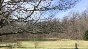 Ein Park mit Teich, Bank und Vogelhaus.