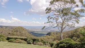 A landscape with a prominent tree, rolling hills, and a clear sky. - Yamacilla House: Spectacular Views in Blackheath! (Blackheath)