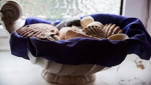 Un cuenco lleno de conchas marinas sobre un alféizar.