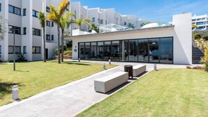 Un edificio moderno con fachada de vidrio, un camino pavimentado y palmeras.