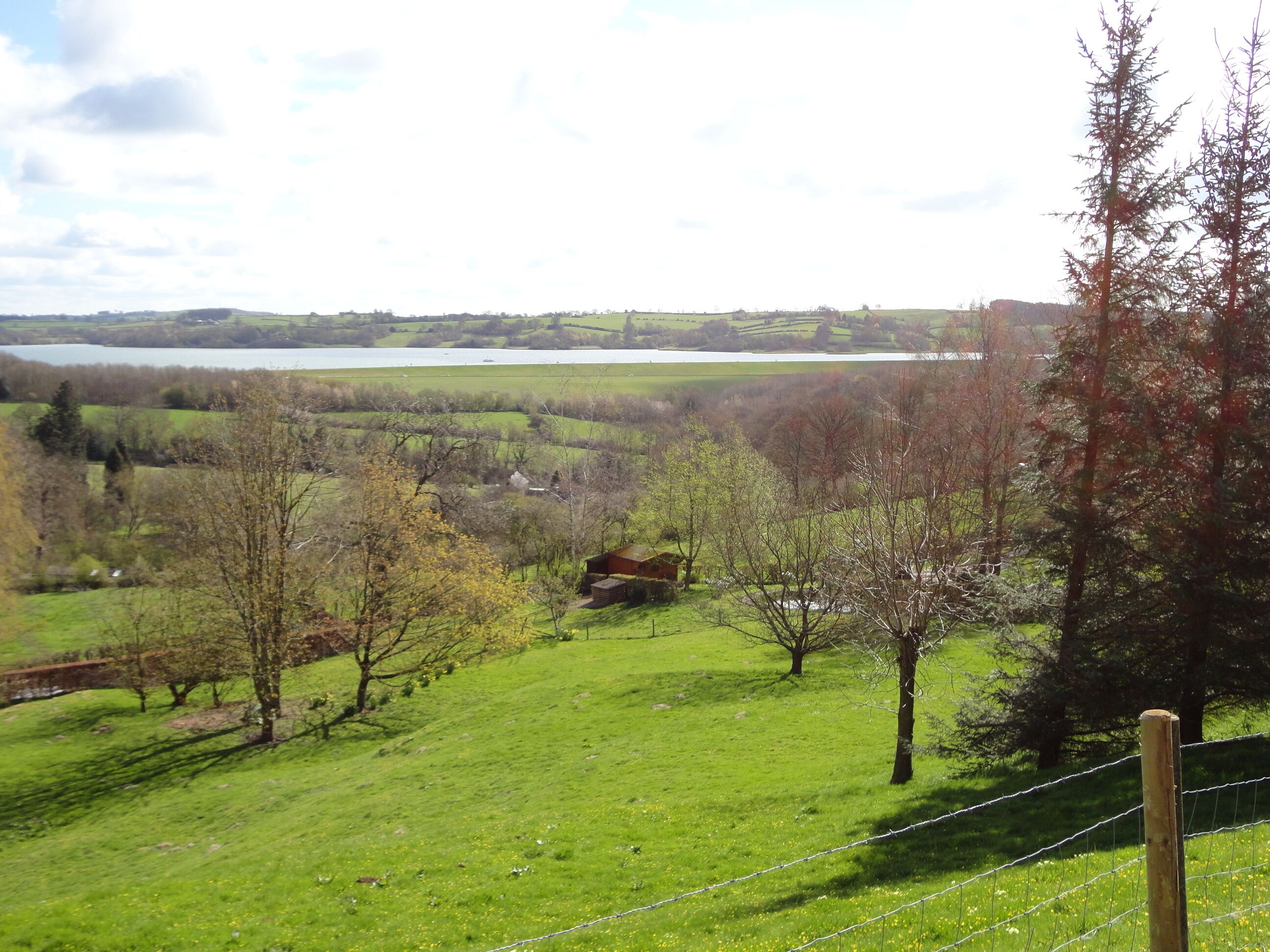 Ländliche Landschaft mit einem kleinen Haus, umgeben von Bäumen und einem Feld.