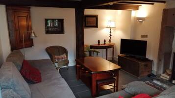 Televisor, llar de foc, reproductor de DVD i llibres