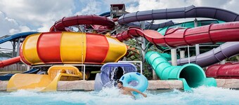 NEW! Great LOCATION! Updated! Walk to Oaklawn! 5 minutes to Downtown! Dogs OK! 