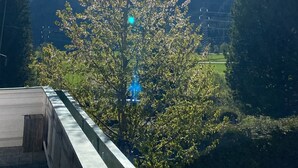A clear view of a mountain range under a bright sun, with a tree in the foreground and a building on the left. - Molltaler Appartements  (Stall)