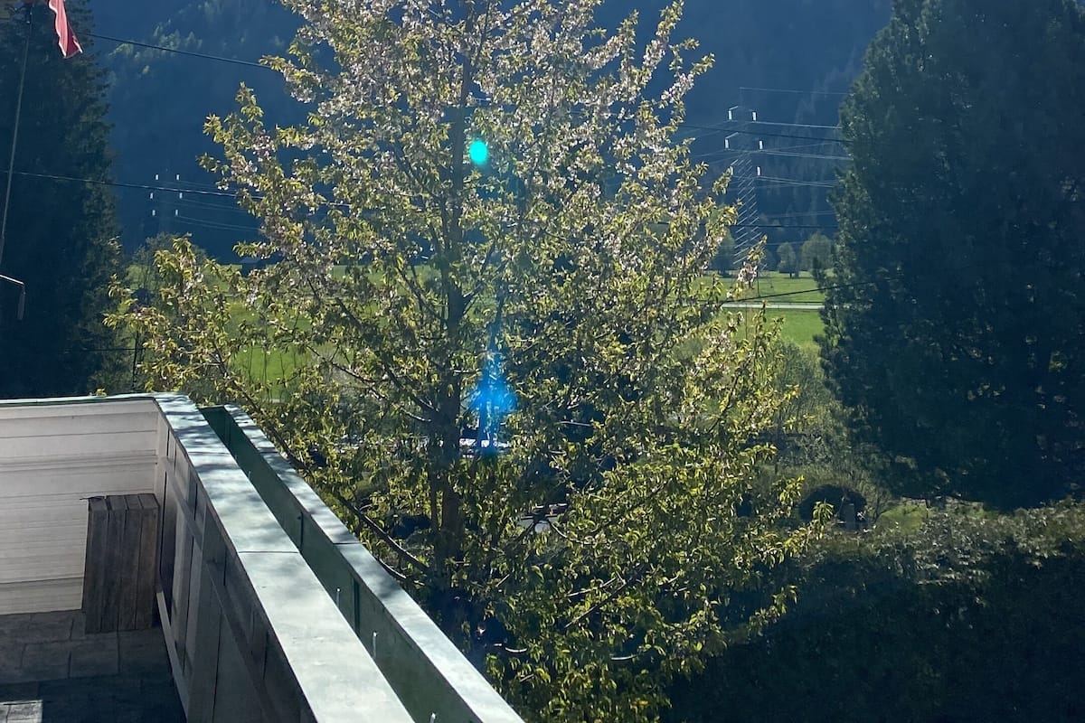A clear view of a mountain range under a bright sun, with a tree in the foreground and a building on the left.