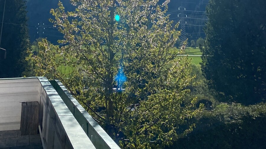 Molltaler Appartements