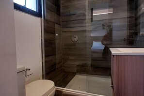 A modern bathroom with a glass shower enclosure, a toilet, and a vanity with a mirror. - Living Vaisse (Santiago)