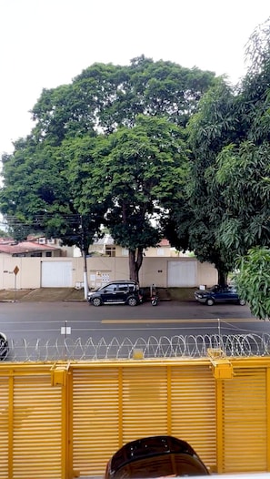 Une scène de rue avec un grand arbre, une clôture jaune agrémentée de fil barbelé et des voitures garées.