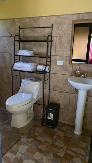 Serviettes fournies, savon, papier toilette