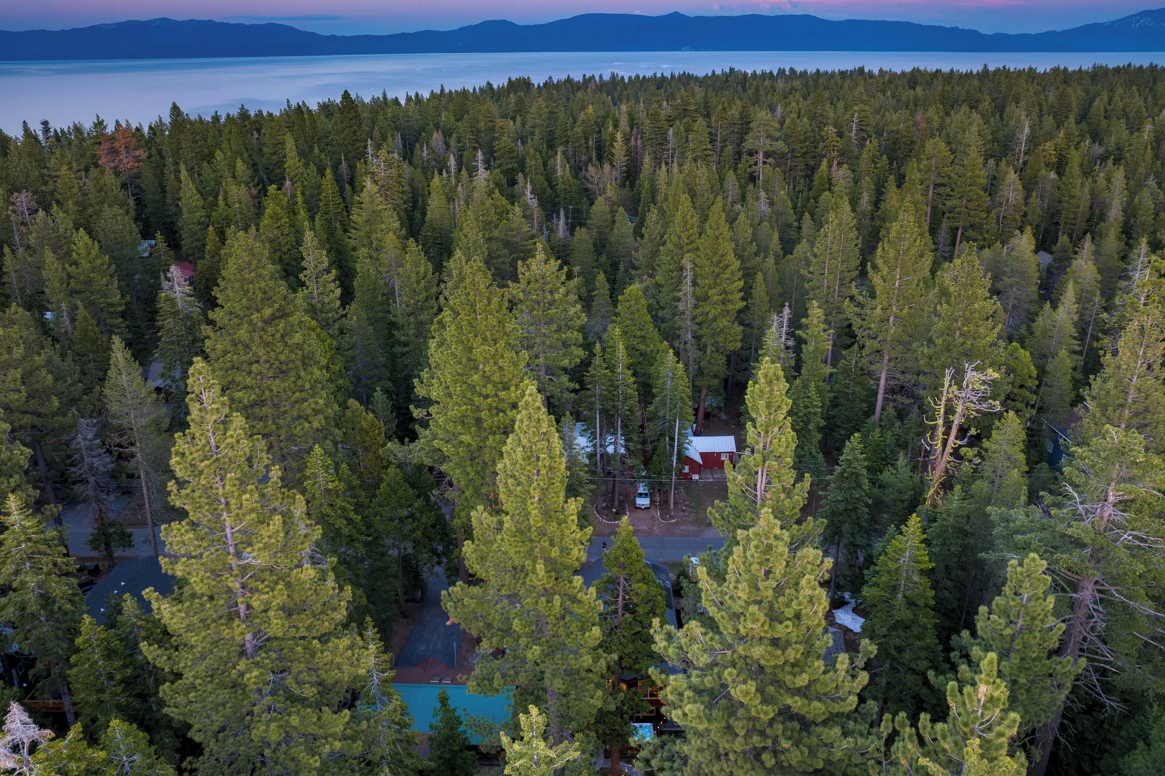 A forested area with a cabin and a small building, surrounded by dense trees.