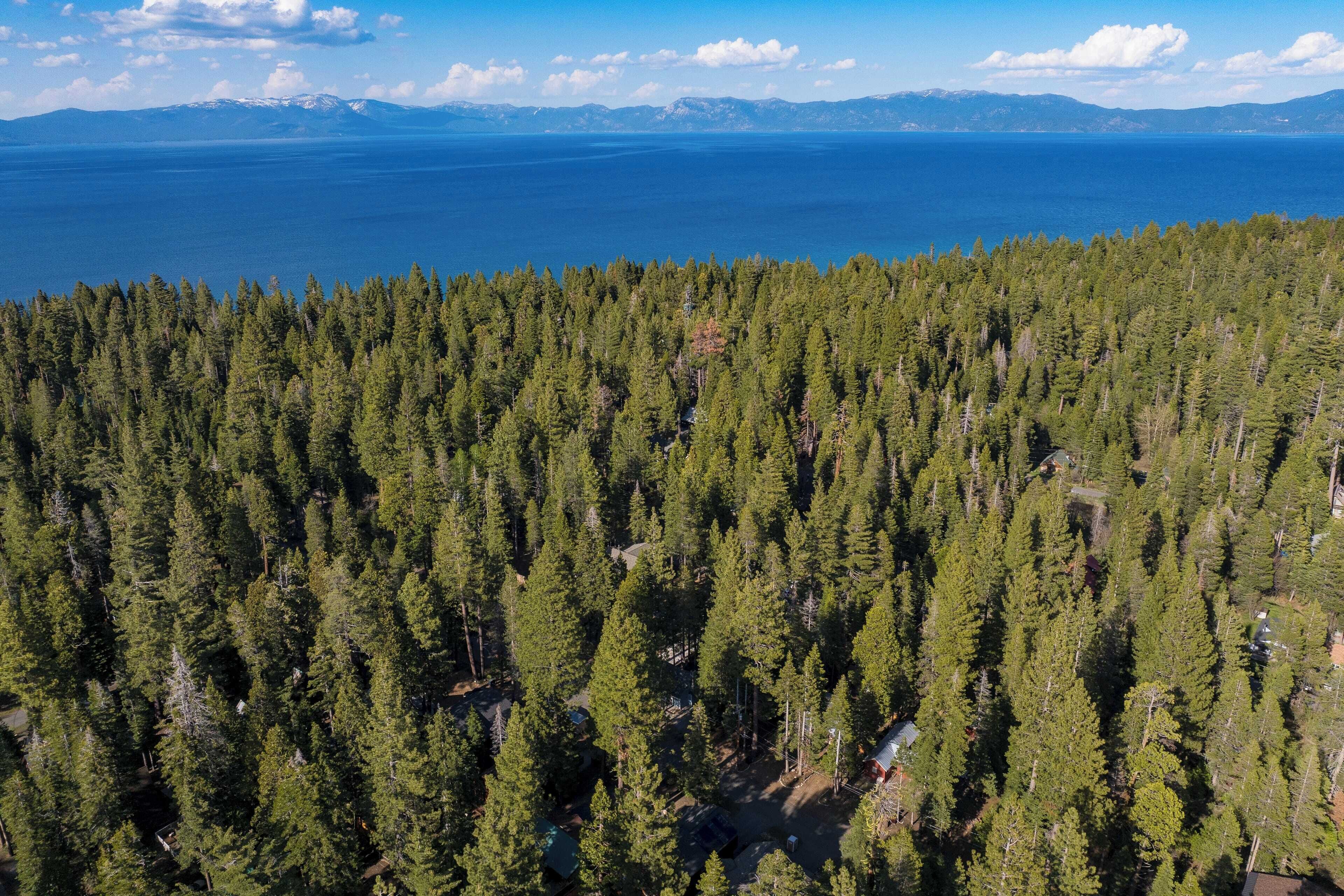 An aerial view of a dense forest with a clear view of a large body of water and distant mountains.
