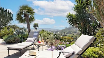 A sunlit outdoor seating area with lounge chairs, a hat, and a bottle, surrounded by cacti and flowers.