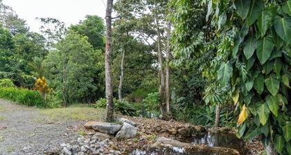 Selva Negra Loft: surrounded by mountains, rivers, lakes, and lush wildlife.