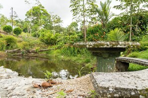Jardines del alojamiento