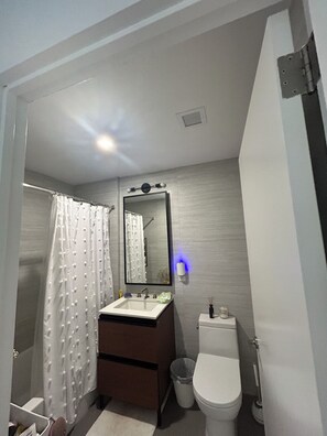 Hair dryer, towels, soap, shampoo - Cozy studio in PLG, Brooklyn (Brooklyn)