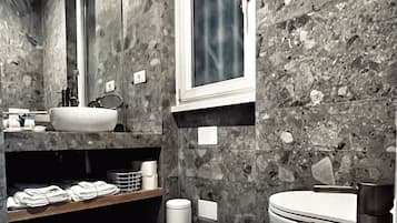Shower, hair dryer, bidet, towels