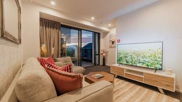 TV