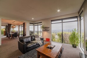 TV, fireplace, video games