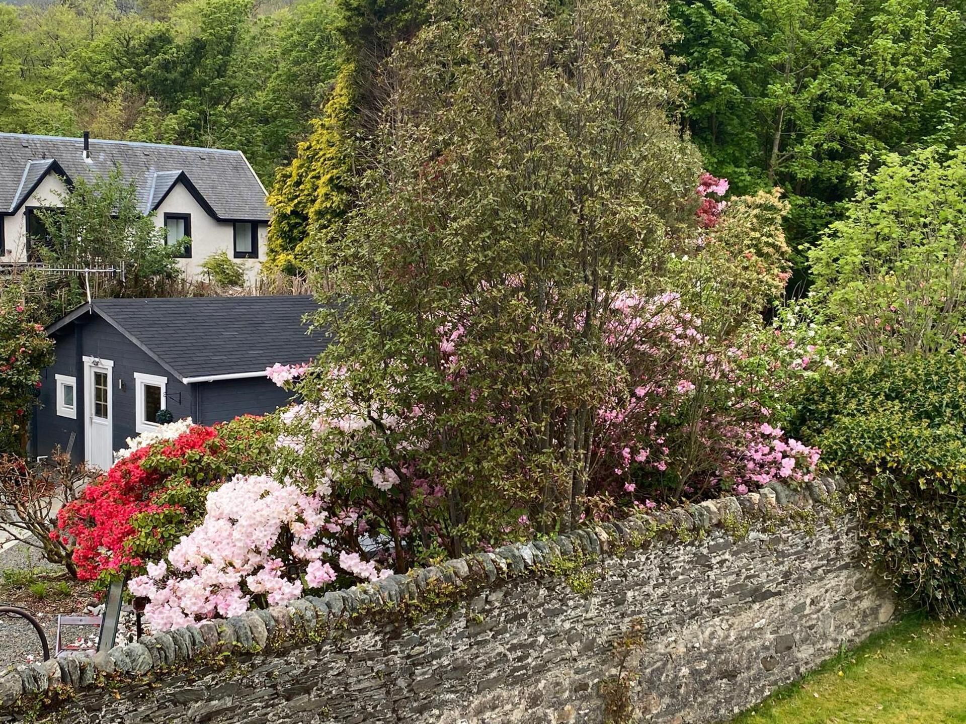 A stone wall with pink flowers, a house with a dark roof, and dense greenery in the background.