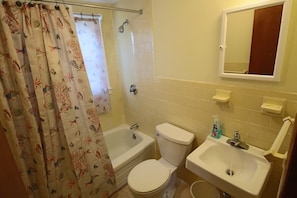 Hair dryer, towels, soap, shampoo