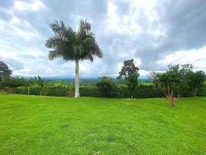 Property grounds - Cozy and Family Friendly, 5 Minutes to Coffee Park, Pueblo Tapao & Montenegro  (pueblo tapado)