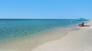 Escape to a serene beach paradise with crystal-clear waters and soft sandy shores.