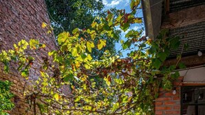 Un estrecho callejón con paredes de ladrillo, un sendero y vegetación.