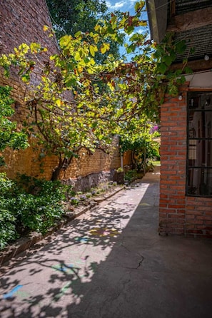 Un estrecho callejón con paredes de ladrillo, un sendero y vegetación.