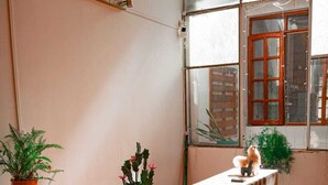 Un mostrador de recepción con una planta en maceta, una pequeña mesa con una cesta y una ventana que da a un muro de ladrillo y otro edificio.