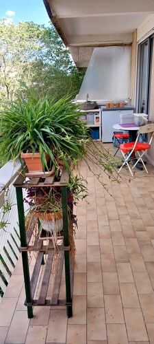 3 bedroom apartment in montpellier