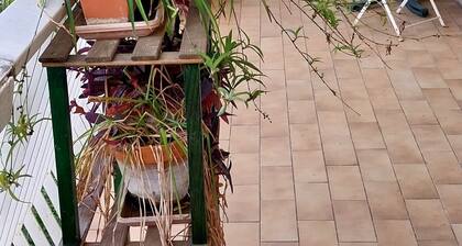 3 bedroom apartment in montpellier