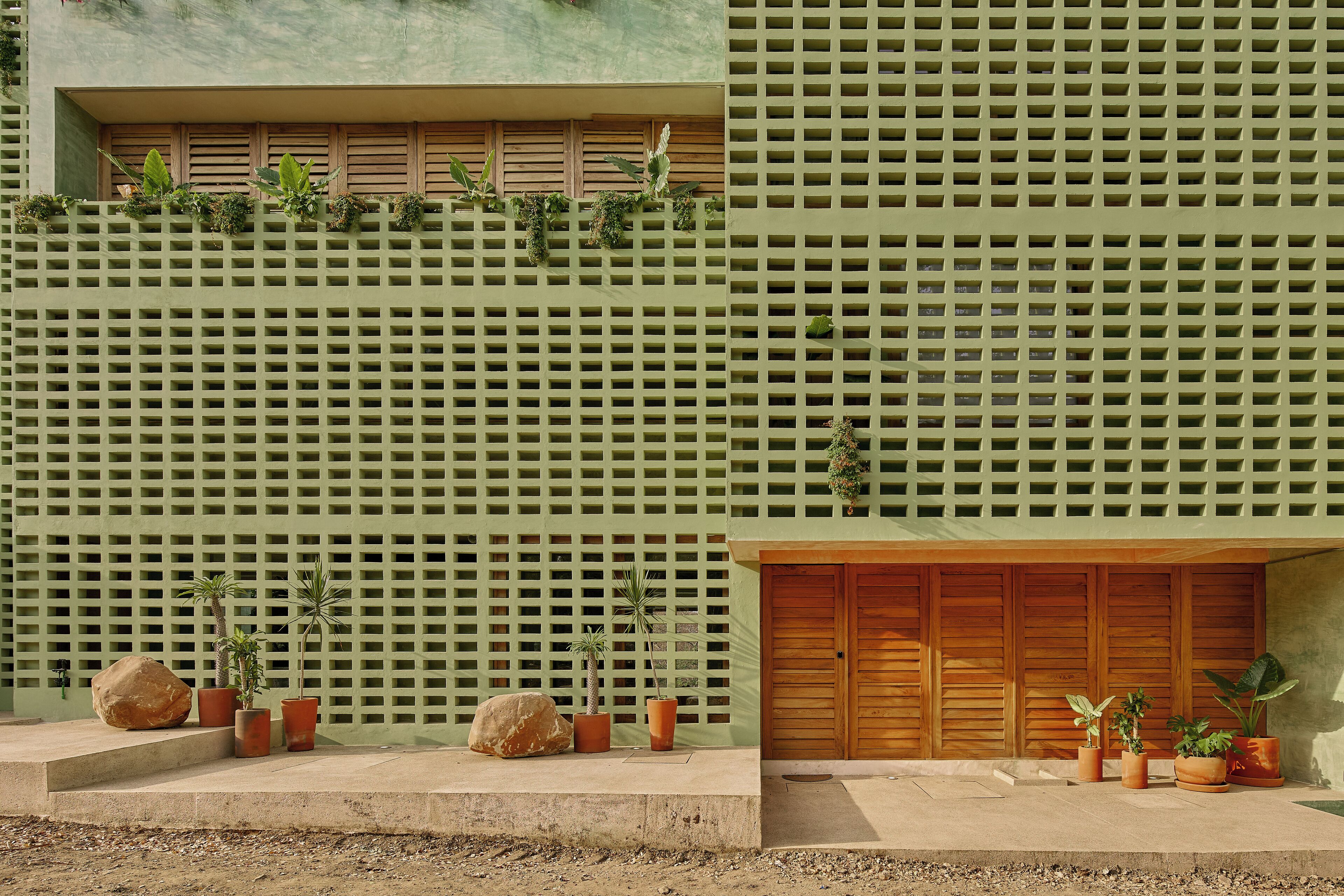 A building facade with a green lattice wall, potted plants, and a wooden door.