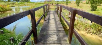 Captivating 1-bed Cabin in Newmarket