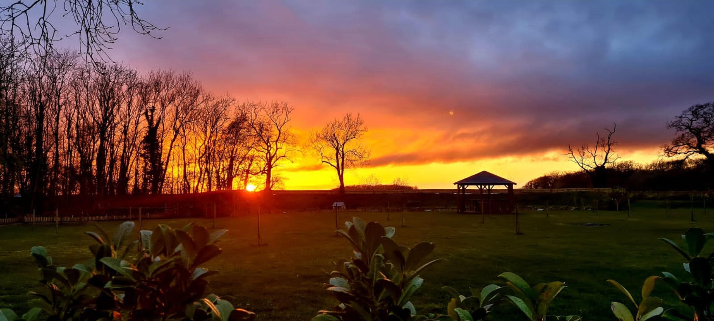 A sunset over a grassy field with trees and a gazebo.